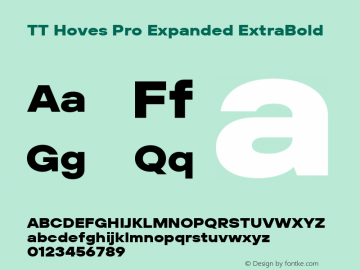 TT Hoves Pro Expanded ExtraBold Version 3.00图片样张