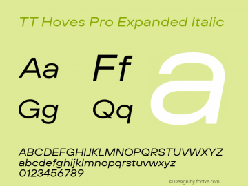 TT Hoves Pro Expanded Italic Version 3.00图片样张