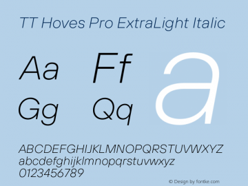 TT Hoves Pro ExtraLight Italic Version 2.00图片样张