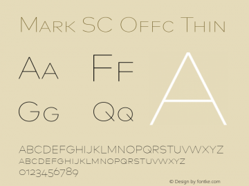 Mark SC Offc Thin Version 7.504; 2013; Build 1023图片样张