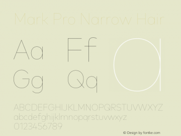 Mark Pro Narrow Hairline Version 7.601, build 1030, FoPs, FL 5.04图片样张