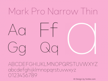 Mark Pro Narrow Thin Version 7.601, build 1030, FoPs, FL 5.04图片样张