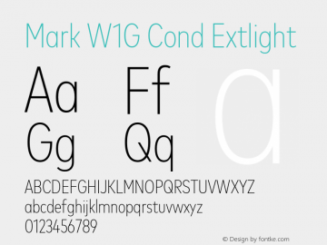 Mark W1G Cond Extlight Version 1.10图片样张