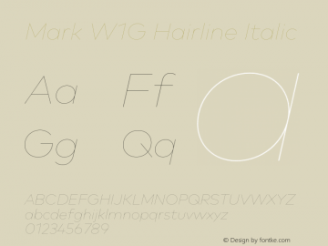 Mark W1G Hairline Italic Version 1.10图片样张