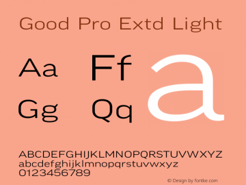 Good Pro Extd Light Version 7.70图片样张