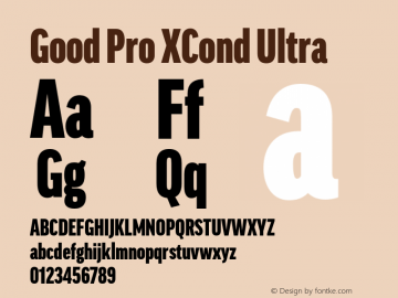 Good Pro XCond Ultra Version 7.70图片样张
