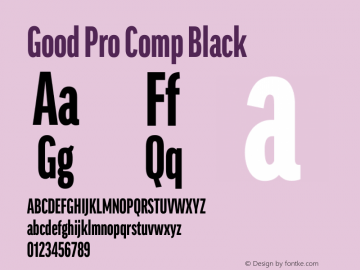 Good Pro Comp Black Version 7.60图片样张