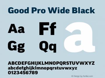 Good Pro Wide Black Version 7.60图片样张