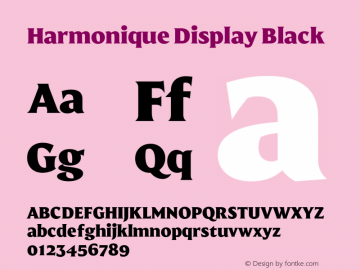 Harmonique Display Black Version 1.000;FEAKit 1.0图片样张