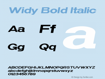 Widy-BoldItalic Version 1.000图片样张