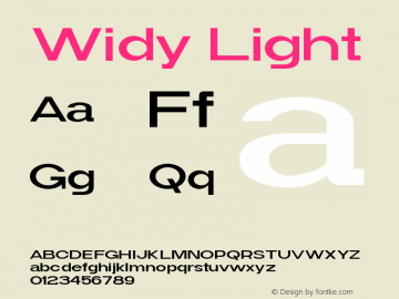 Widy-Light Version 1.000图片样张
