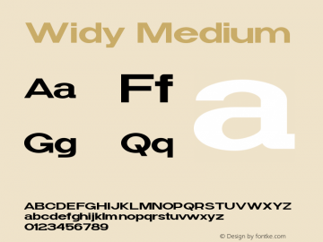 Widy-Medium Version 1.000图片样张