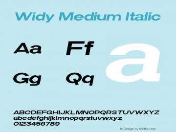 Widy-MediumItalic Version 1.000图片样张