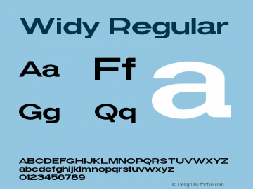 Widy-Regular Version 1.000图片样张