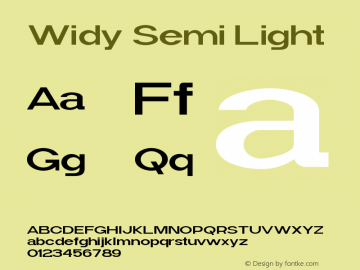 Widy-SemiLight Version 1.000图片样张