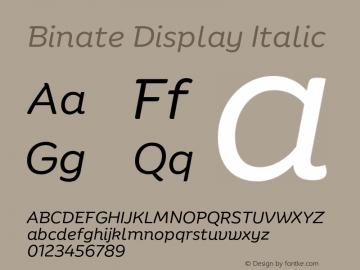 Binate Display Italic Version 1.00图片样张