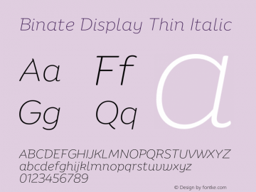 Binate Display Thin Italic Version 1.00图片样张