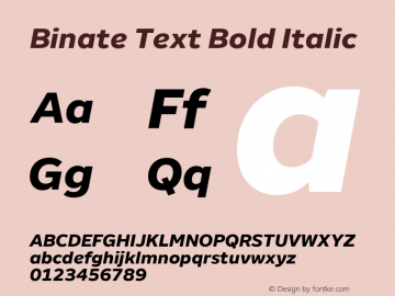 Binate Text Bold Italic Version 1.00图片样张