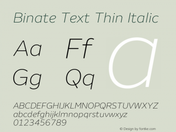 Binate Text Thin Italic Version 1.00图片样张