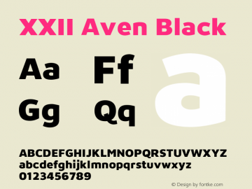 XXII Aven Black Version 1.002图片样张