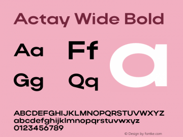 ActayWide-Bold Version 1.000 - Serdar Ozturk - Be Unique - Arodora Typeface图片样张
