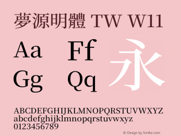 夢源明體 TW W11 图片样张