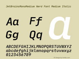 JetBrains Mono Medium Med Ita Nerd Font Complete Version 1.0.2; ttfautohint (v1.8.3)图片样张