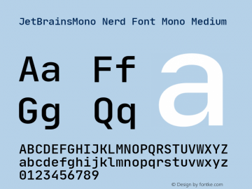 JetBrains Mono Medium Nerd Font Complete Mono Version 1.000; ttfautohint (v1.8.3)图片样张