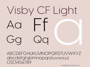 Visby CF Light Version 4.200;FEAKit 1.0图片样张