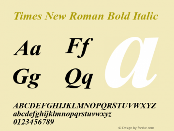 Times New Roman Bold Italic Version 2.90图片样张