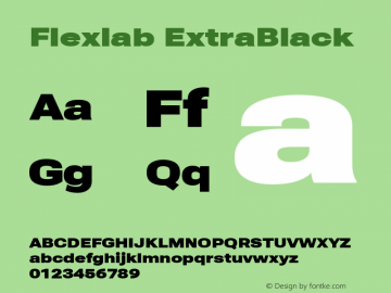 Flexlab ExtraBlack Version 2.136图片样张