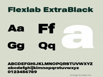 Flexlab ExtraBlack Version 2.136图片样张