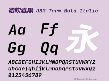 微软雅黑 JBM Term Bold Italic Version 2.242图片样张
