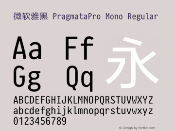 微软雅黑 PragmataPro Mono Regular Version 0.822图片样张