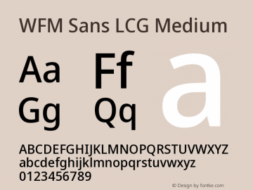 WFM Sans LCG Medium 1.1.0图片样张