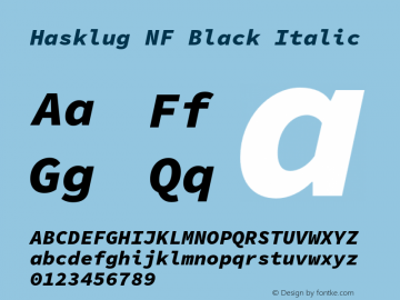Hasklug Black Italic Nerd Font Complete Windows Compatible Version 1.0;Nerd Fonts 2.1.0图片样张