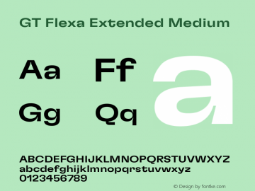 GT Flexa Ext Md Version 3.003图片样张