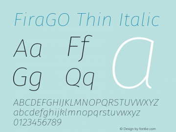 FiraGO Thin Italic Version 1.001;PS 001.001;hotconv 1.0.88;makeotf.lib2.5.64775图片样张