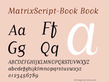 MatrixScript-Book Book Version 1.00图片样张
