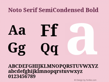Noto Serif SemiCondensed Bold Version 2.007; ttfautohint (v1.8) -l 8 -r 50 -G 200 -x 14 -D latn -f none -a qsq -X 