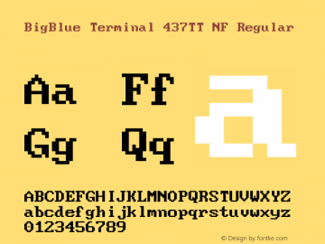 BigBlue Terminal 437TT NF Regular v1.0-2015-11图片样张