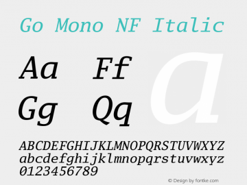 Go Mono NF Italic Version 2.010; ttfautohint (v1.8.3)图片样张