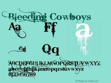 Bleeding Cowboys Version 1.00 June 28, 2007, initial release图片样张
