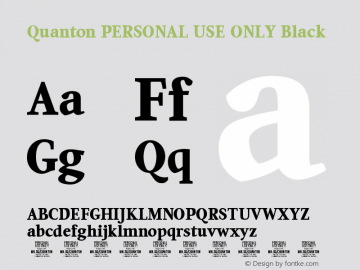 Quanton PERSONAL USE ONLY Black Version 1.000;FEAKit 1.0图片样张