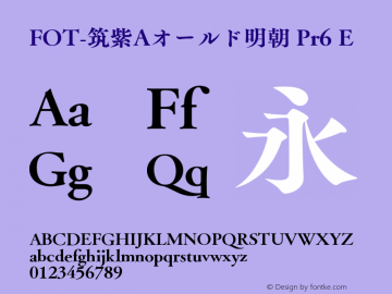 FOT-筑紫Aオールド明朝 Pr6 E 图片样张