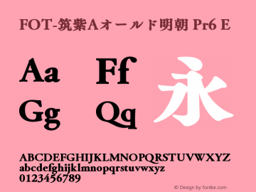 FOT-筑紫Aオールド明朝 Pr6 E 图片样张