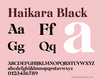 Haikara Black Version 3.009;FEAKit 1.0图片样张