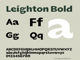 Leighton Bold Version 1.004;FEAKit 1.0图片样张