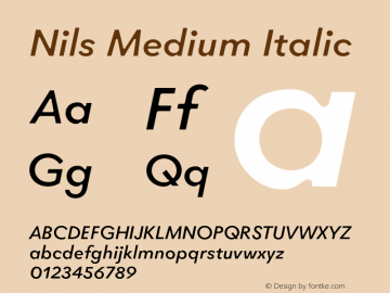 Nils Medium Italic Version 2.008;FEAKit 1.0图片样张