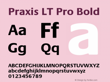 Praxis LT Pro Bold Version 1.000;PS 001.000;hotconv 1.0.38图片样张